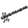 Edelbrock | Engine Camshaft and Lifter Kit - Mustang SVT Cobra R 5.8L 1995-1995 Edelbrock Camshafts