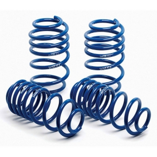 H&R | Super Sport Spring - Fiesta H&R Coil Springs