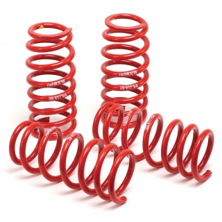 H&R | Race Springs - Mustang V6 / GT / Mach 1 / Cobra H&R Coil Springs