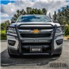 Westin | Grille Guard - Colorado 2.5L / 2.8L / 3.6L 2015-2020 Westin Automotive Bull Bar