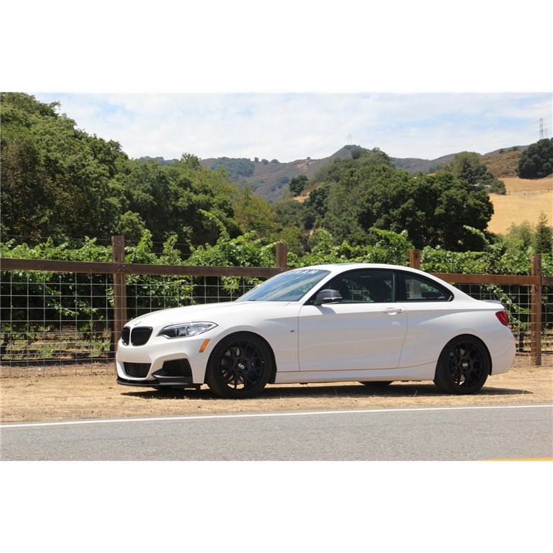 DINAN | Performance Coil Spring Set - M235i / M240i 3.0T 2014-2020 DINAN Coil Springs