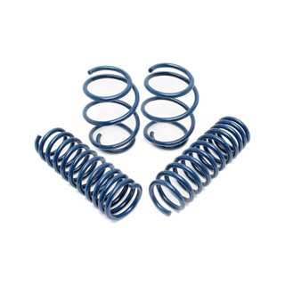 DINAN | Performance Coil Spring Set - M235i / M240i 3.0T 2014-2020 DINAN Coil Springs