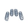 DINAN | Performance Coil Spring Set - M550i xDrive 4.4T 2018-2020 DINAN Coil Springs