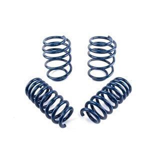 Dinan | Performance Coil Spring Set - X3 M / M Competition / X4 3.0T 2020-2021 DINAN Coil Springs
