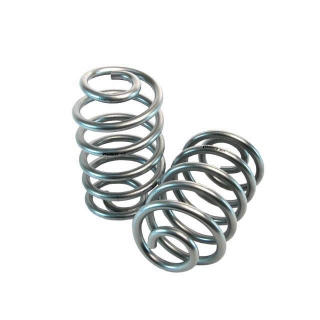 Belltech | 2" Lowered Rear Height - Caprice / Impala SS 1992-1996 Belltech Coil Springs