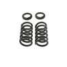 Belltech | 2 or 3" Lowered Front Ride Height - Expedition / F-150 2000-2003 Belltech Coil Springs
