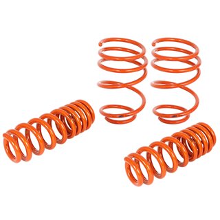 aFe Power | aFe CONTROL Lowering Springs - 335d / 335i / 335i xDrive / 335xi 3.0L 2007-2013 aFe POWER Coil Springs