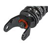 aFe POWER | PFADT Series Featherlight Street/Track Coilover - Corvette 1997-2013