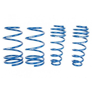 ROUSH | Front & Rear Coil Springs - Mustang 05-10 ROUSH Performance Coil Springs