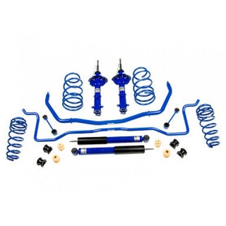 ROUSH | Suspension Kit - Mustang 05-10 ROUSH Performance Shock & Spring Kits