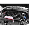 aFe POWER | Magnum FORCE Stage-2 Cold Air Intake w/Pro 5R - F-150 2.7T / 3.5T / 5.0L 2015-2017