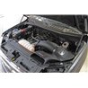 aFe POWER | Momentum GT Cold Air Intake - F-150 5.0L 2015-2020