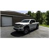 AVS | Aeroskin Smoke Hood Protector - F-150 2015-2020