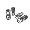 Eibach | Coil Spring Lowering Kit - Camaro / Firebird 5.0L 1982-1992