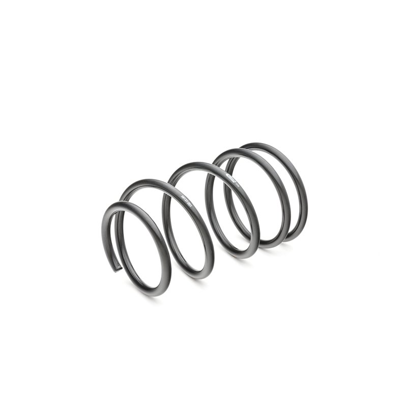 Eibach | Coil Spring Lowering Kit - G8 Base / GT 3.6L 2008-2009
