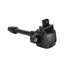 MSD | Blaster Direct Ignition Coil Set - Civic 1.5T 2016-2021 MSD Ignition Ignition Coils