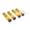 KW Suspension | Adjustable Lowering Springs - R8 4.2L / 5.2L 2008-2015 KW suspension Coil Springs