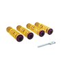 KW Suspension | Adjustable Lowering Springs - R8 4.2L / 5.2L 2008-2015 KW suspension Coil Springs