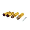 KW Suspension | Adjustable Lowering Springs - R8 4.2L / 5.2L 2008-2015 KW suspension Coil Springs