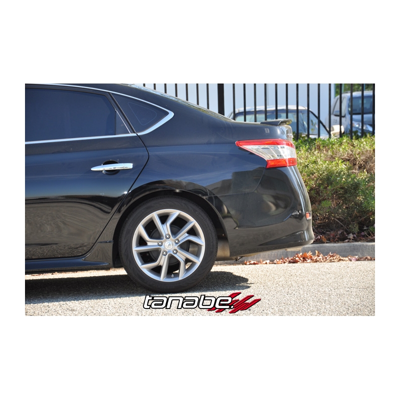 Tanabe | NF210 Springs - Nissan Sentra 13-15 Tanabe Coil Springs