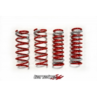 Tanabe | NF210 Springs - Lexus GS450h 2013 Tanabe Coil Springs