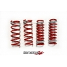 Tanabe | NF210 Springs - GS350 / F SPORT RWD 13-16 Tanabe Coil Springs