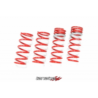 Tanabe | NF210 Springs - GS300 / GS350 / GS430 / GS460 06-12 Tanabe Coil Springs