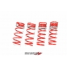 Tanabe | DF210 Springs - GS300 / GS350 / GS430 / GS460 06-11 Tanabe Coil Springs