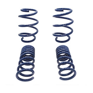 Ford Performance | 15-20 MUSTANG GT350 SPRINGS Ford Performance Pièce