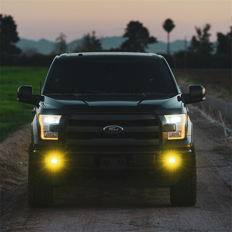 RIGID | D-Series SAE Fog Yellow/White Pair