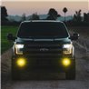 RIGID | D-Series SAE Fog Yellow/White Pair