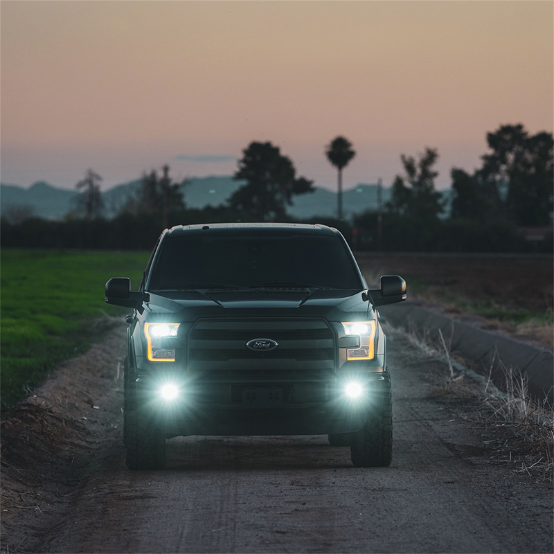 RIGID | D-Series SAE Fog Yellow/White Pair