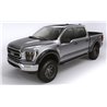 Bushwacker | Forge Style Fender Flares - F-150 2.7T / 3.5L / 5.0L 2015-2017