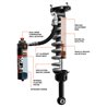 FOX Shocks | 2.5 Shocks FOX Shocks & Struts