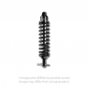Fabtech | Coil Over Shock Absorber - F-150 4.2L / 4.6L / 5.4L 2004-2008 Fabtech Amortisseurs