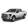 AMP Research | Truck Step - F-150 2015-2020 AMP Research Marchepieds