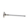 Manley | Valve - Exhaust, Valve-R/F 1.600,+.100 Manley Valves & Valvetrain Parts